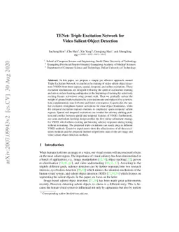 TENet: Triple Excitation Network for Video Salient Object Detection