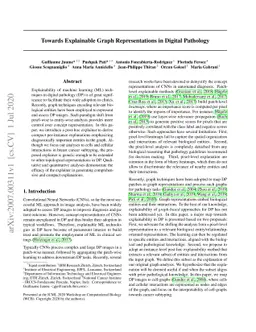 Towards Explainable Graph Representations in Digital Pathology