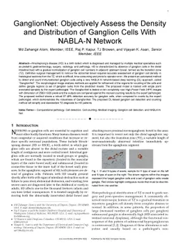 GanglionNet: Objectively Assess the Density and Distribution of Ganglion
  Cells With NABLA-N Network