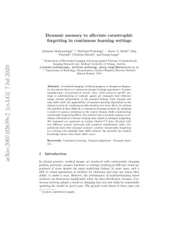 Dynamic memory to alleviate catastrophic forgetting in continuous
  learning settings