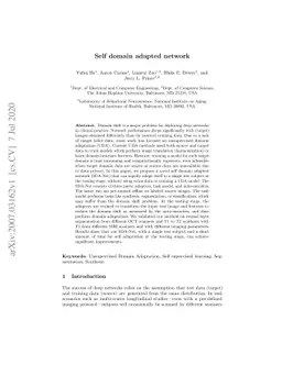 Self domain adapted network