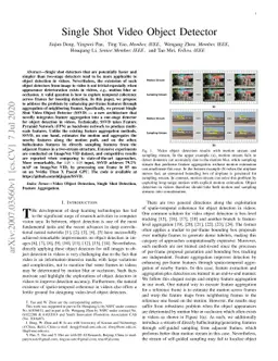Single Shot Video Object Detector