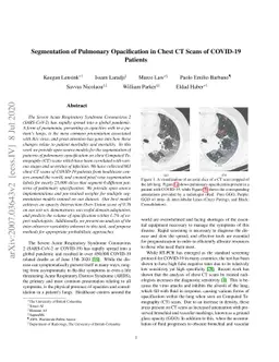 Segmentation of Pulmonary Opacification in Chest CT Scans of COVID-19
  Patients