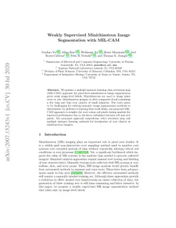 Weakly Supervised Minirhizotron Image Segmentation with MIL-CAM