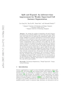 Split and Expand: An inference-time improvement for Weakly Supervised
  Cell Instance Segmentation