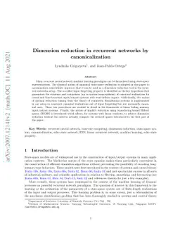 Dimension reduction in recurrent networks by canonicalization