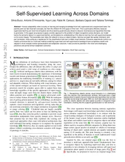 Self-Supervised Learning Across Domains