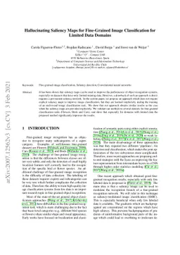 Hallucinating Saliency Maps for Fine-Grained Image Classification for
  Limited Data Domains