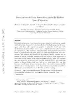 Semi-Automatic Data Annotation guided by Feature Space Projection