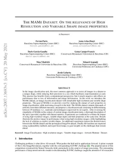 The MAMe Dataset: On the relevance of High Resolution and Variable Shape
  image properties