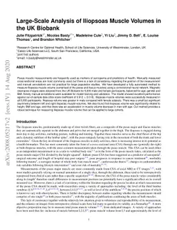Large-Scale Analysis of Iliopsoas Muscle Volumes in the UK Biobank