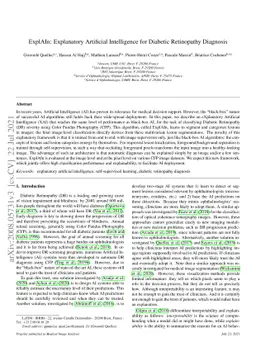 ExplAIn: Explanatory Artificial Intelligence for Diabetic Retinopathy
  Diagnosis