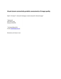 Visual stream connectivity predicts assessments of image quality
