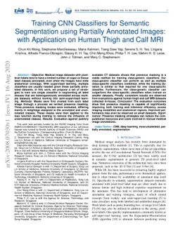Training CNN Classifiers for Semantic Segmentation using Partially
  Annotated Images: with Application on Human Thigh and Calf MRI