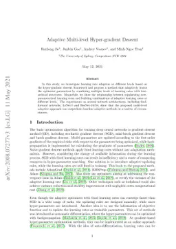 Adaptive Hierarchical Hyper-gradient Descent