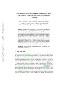 Addressing Neural Network Robustness with Mixup and Targeted Labeling
  Adversarial Training