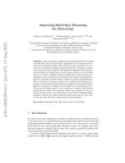 Improving Blind Spot Denoising for Microscopy