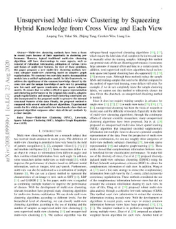 Unsupervised Multi-view Clustering by Squeezing Hybrid Knowledge from
  Cross View and Each View