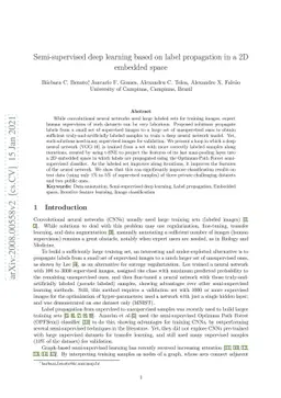 Semi-supervised deep learning based on label propagation in a 2D
  embedded space