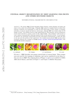 Central object segmentation by deep learning for fruits and other
  roundish objects