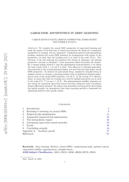 Large-time asymptotics in deep learning