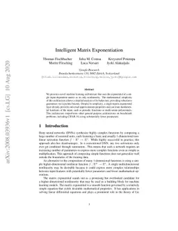 Intelligent Matrix Exponentiation