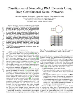 Classification of Noncoding RNA Elements Using Deep Convolutional Neural
  Networks