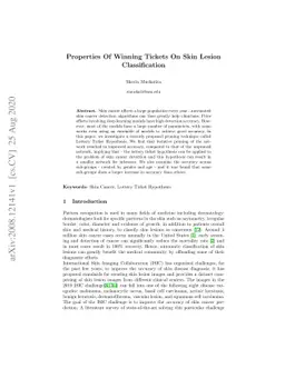 Properties Of Winning Tickets On Skin Lesion Classification