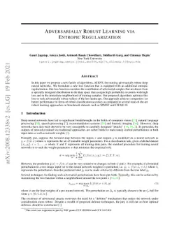 Adversarially Robust Learning via Entropic Regularization