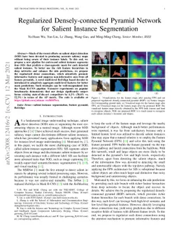 Regularized Densely-connected Pyramid Network for Salient Instance
  Segmentation