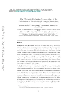 The Effects of Skin Lesion Segmentation on the Performance of
  Dermatoscopic Image Classification