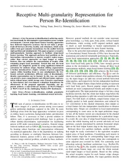 Receptive Multi-granularity Representation for Person Re-Identification