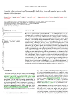 Learning joint segmentation of tissues and brain lesions from
  task-specific hetero-modal domain-shifted datasets