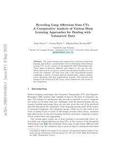 Revealing Lung Affections from CTs. A Comparative Analysis of Various
  Deep Learning Approaches for Dealing with Volumetric Data