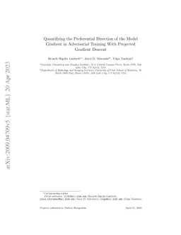 Quantifying the Preferential Direction of the Model Gradient in
  Adversarial Training With Projected Gradient Descent