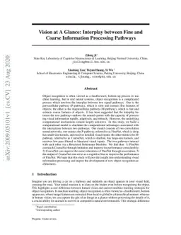 Vision at A Glance: Interplay between Fine and Coarse Information
  Processing Pathways