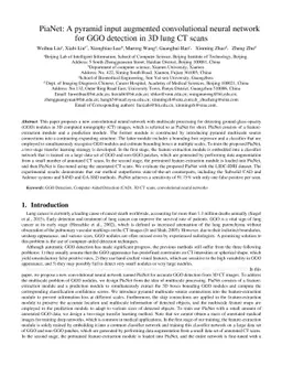 PiaNet: A pyramid input augmented convolutional neural network for GGO
  detection in 3D lung CT scans