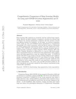 Comprehensive Comparison of Deep Learning Models for Lung and COVID-19
  Lesion Segmentation in CT scans