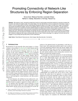 Promoting Connectivity of Network-Like Structures by Enforcing Region
  Separation