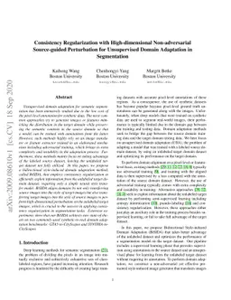 Consistency Regularization with High-dimensional Non-adversarial
  Source-guided Perturbation for Unsupervised Domain Adaptation in Segmentation