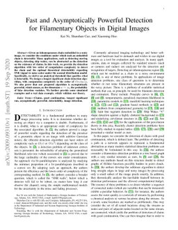 Fast and Asymptotically Powerful Detection for Filamentary Objects in
  Digital Images
