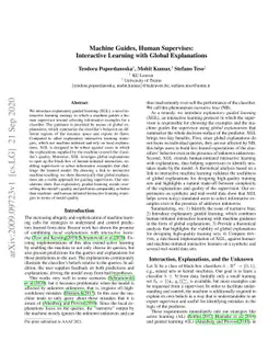 Machine Guides, Human Supervises: Interactive Learning with Global
  Explanations