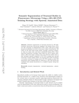 Semantic Segmentation of Neuronal Bodies in Fluorescence Microscopy
  Using a 2D+3D CNN Training Strategy with Sparsely Annotated Data