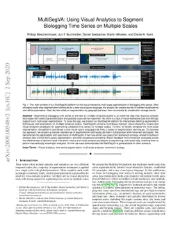 MultiSegVA: Using Visual Analytics to Segment Biologging Time Series on
  Multiple Scales