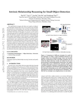 Intrinsic Relationship Reasoning for Small Object Detection
