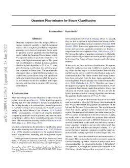 Quantum Discriminator for Binary Classification