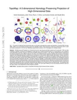 TopoMap: A 0-dimensional Homology Preserving Projection of
  High-Dimensional Data