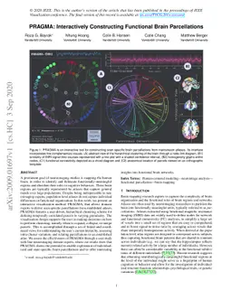 PRAGMA: Interactively Constructing Functional Brain Parcellations