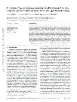 A Wholistic View of Continual Learning with Deep Neural Networks:
  Forgotten Lessons and the Bridge to Active and Open World Learning