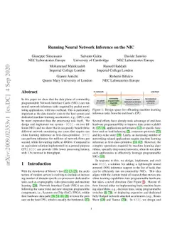 Running Neural Networks on the NIC